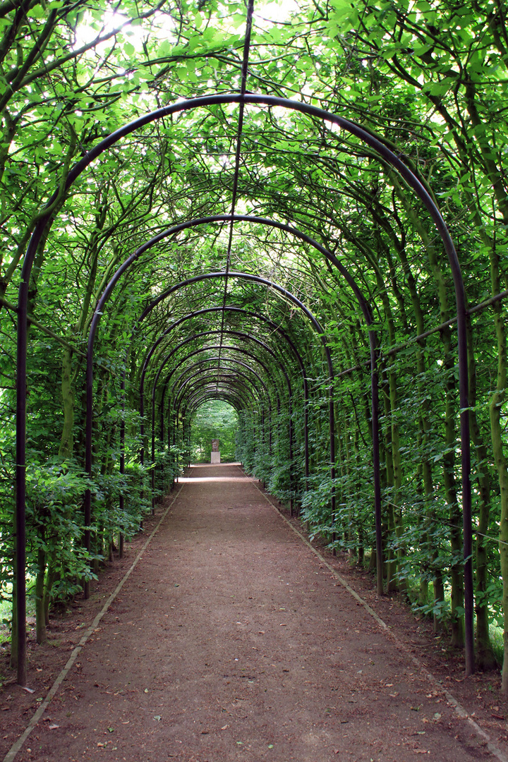 Wandelgang Schloß Moyland