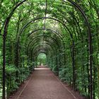 Wandelgang Schloß Moyland