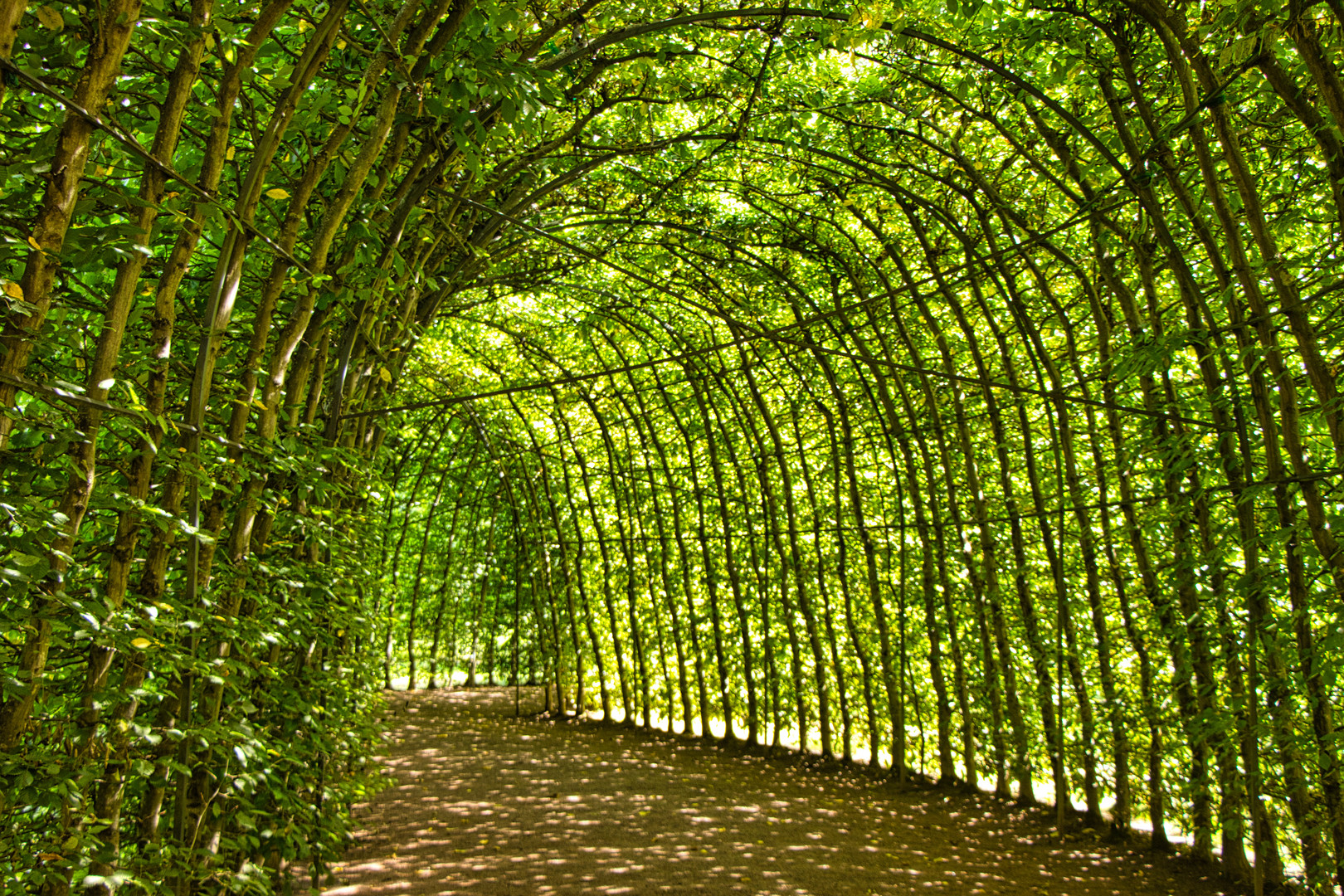 Wandelgang Schloß Wesenstein