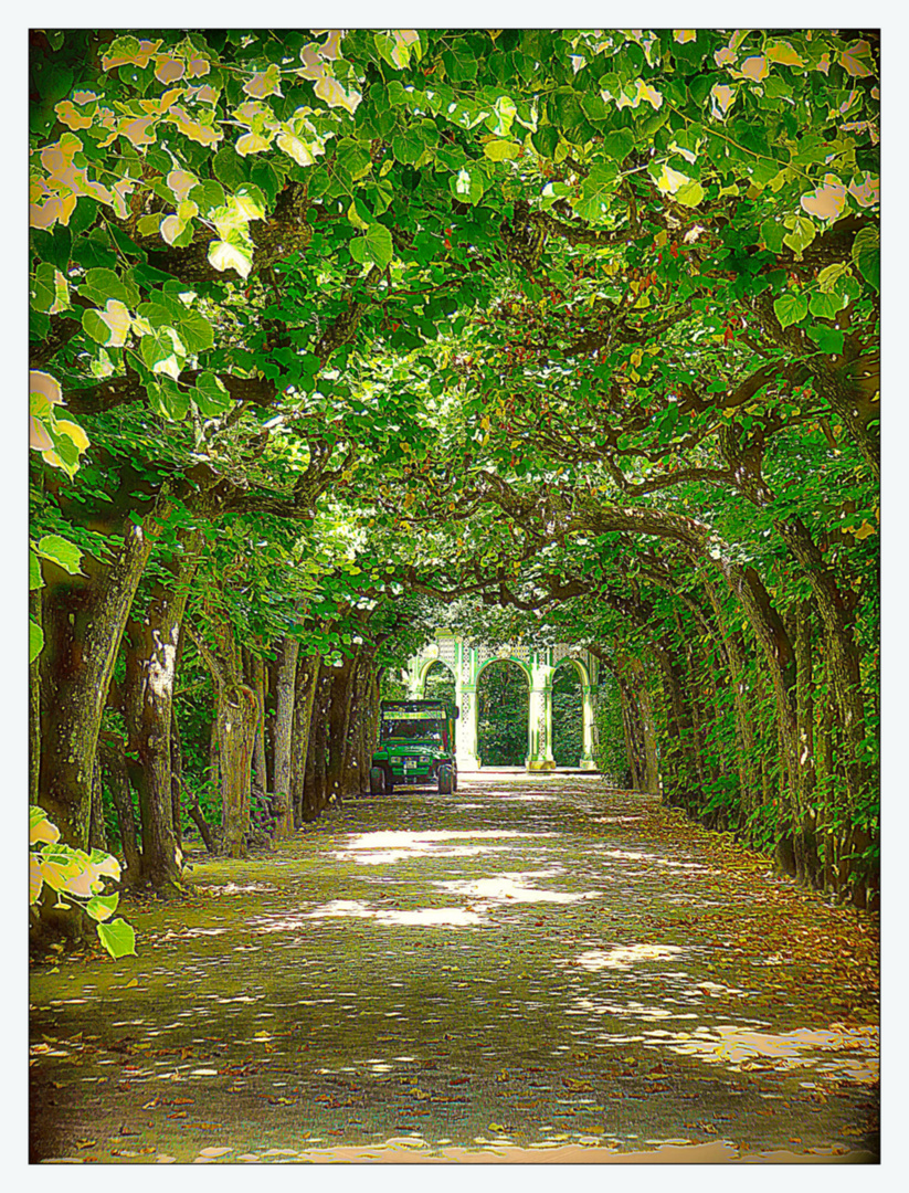 Wandelgang zum Treillagepavillon