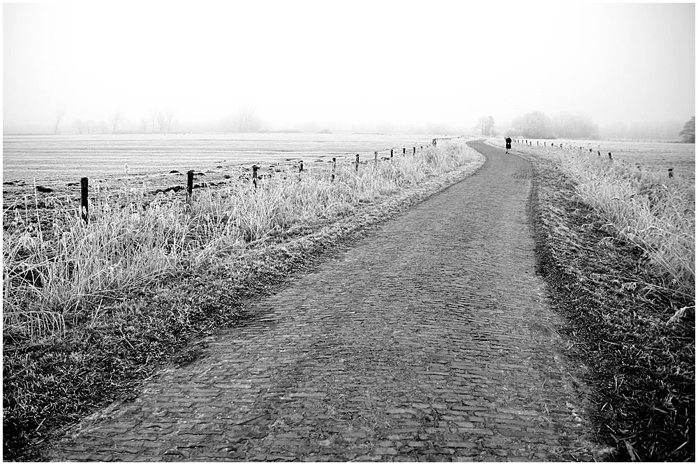 Wandeln auf friesischen Wegen