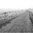 Wandeln auf friesischen Wegen