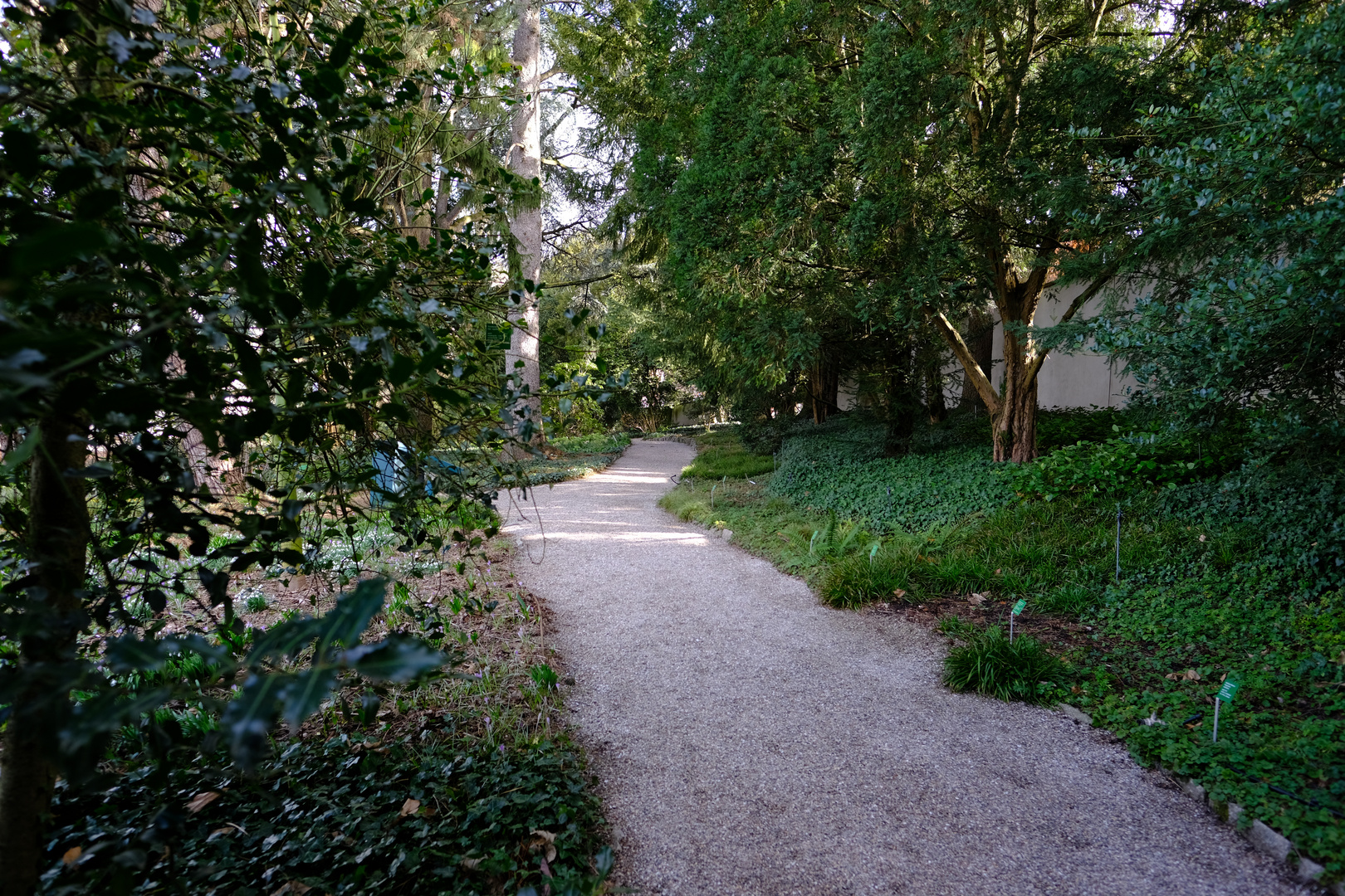 Wandeln im Park