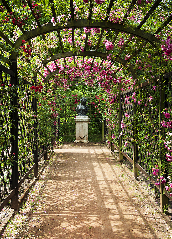 Wandeln im Rosengarten