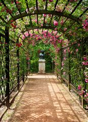 Wandeln im Rosengarten