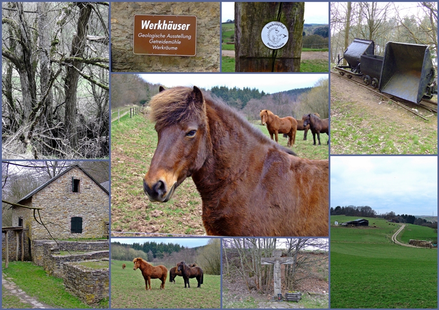 Wander in der Eifel