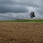 Wanderbahn bei Lohrbach