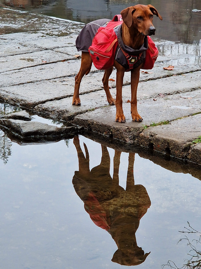 Wanderbegleitung