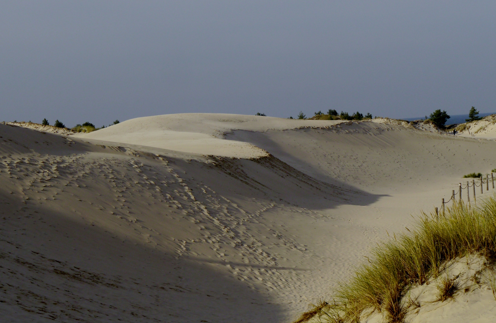 Wanderdüne an der Ostsee in Polen