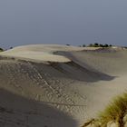 Wanderdüne an der Ostsee in Polen