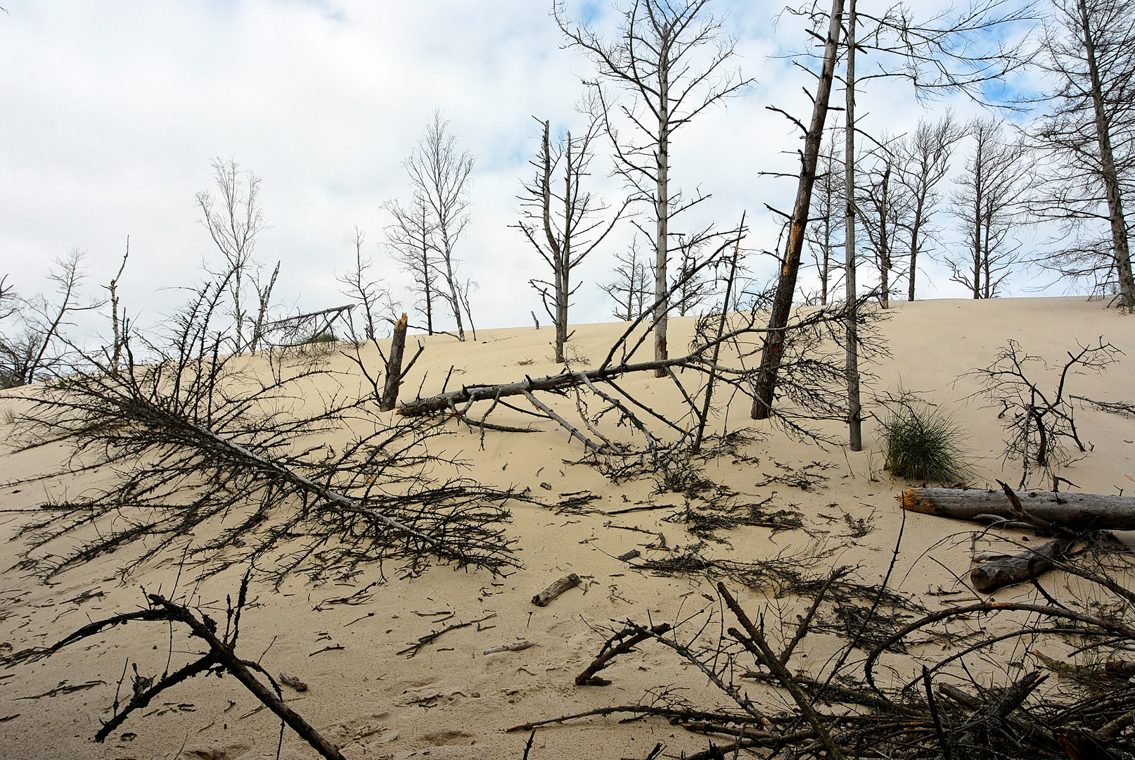 Wanderdüne an der polnischen Ostsee