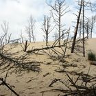 Wanderdüne an der polnischen Ostsee