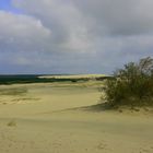 Wanderdüne auf der Kurischen Nehrung bei Selenogradsk