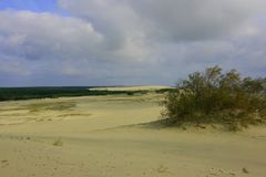 Wanderdüne auf der Kurischen Nehrung bei Selenogradsk