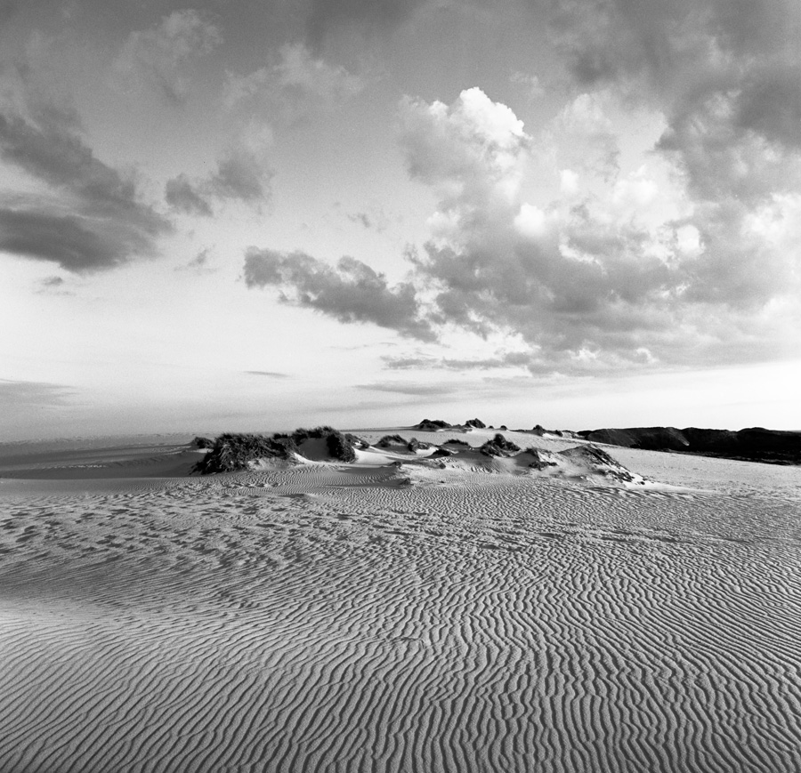 Wanderdüne auf Sylt