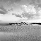 Wanderdüne auf Sylt