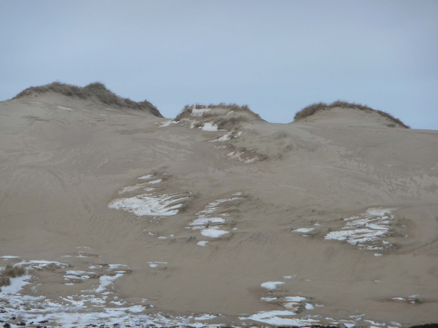 Wanderdüne auf Sylt