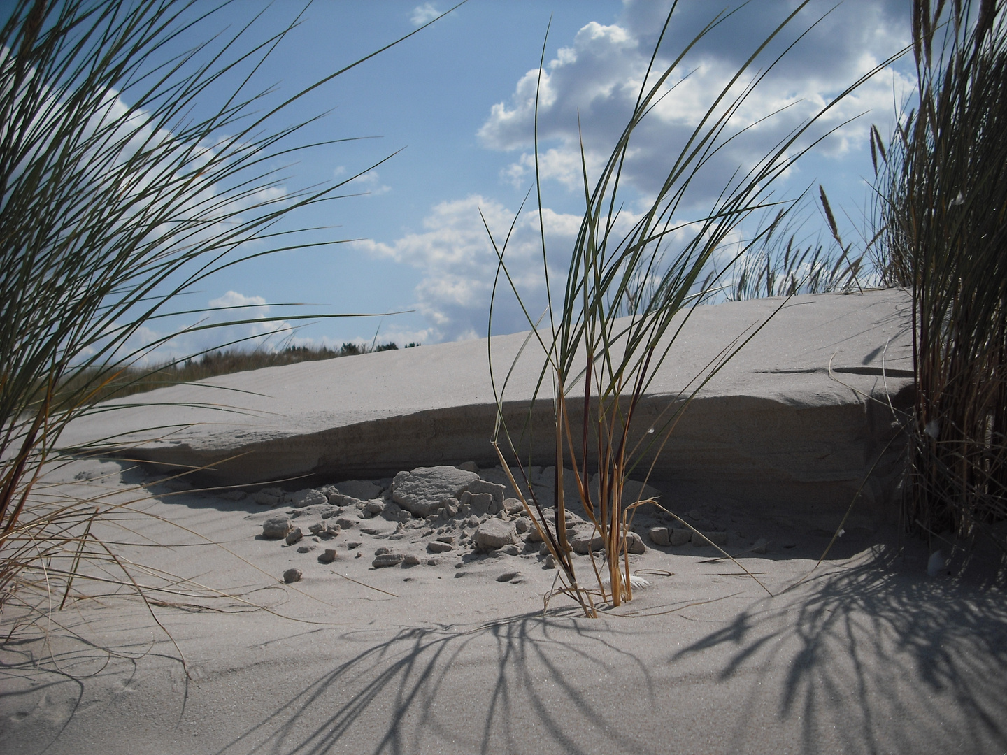 Wanderdüne bei Leba - Polen