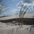 Wanderdüne bei Leba - Polen