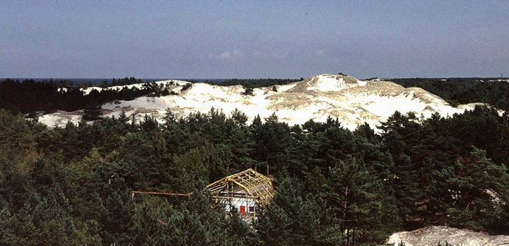 Wanderdüne bei Leba / Polen Foto & Bild | landschaft, meer & strand, dünen Bilder auf fotocommunity