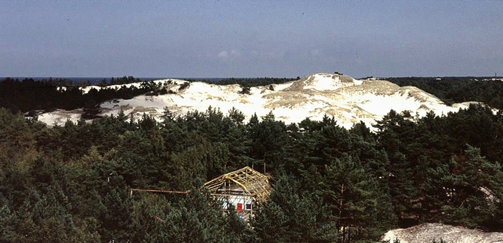 Wanderdüne bei Leba / Polen