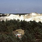 Wanderdüne bei Leba / Polen