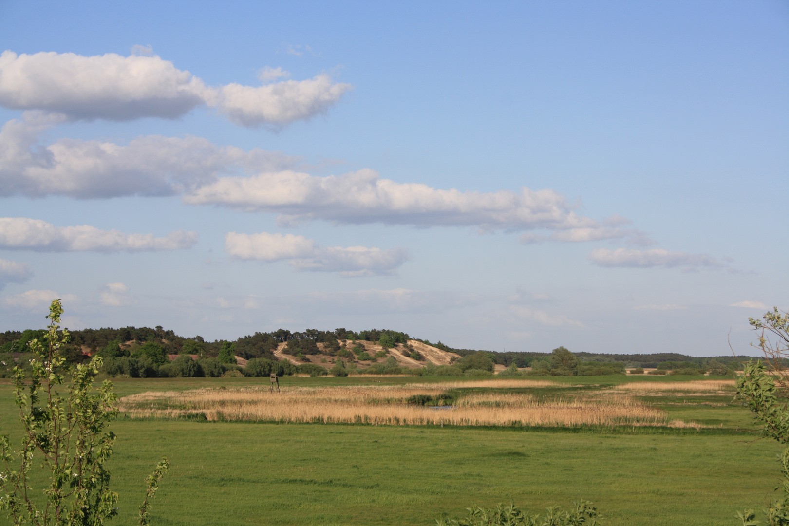 Wanderdüne Klein Schmölen 