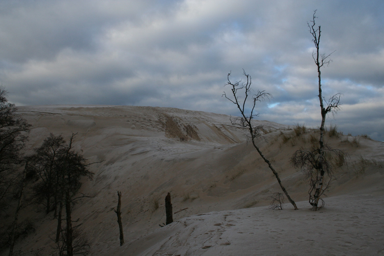 Wanderdüne Leba