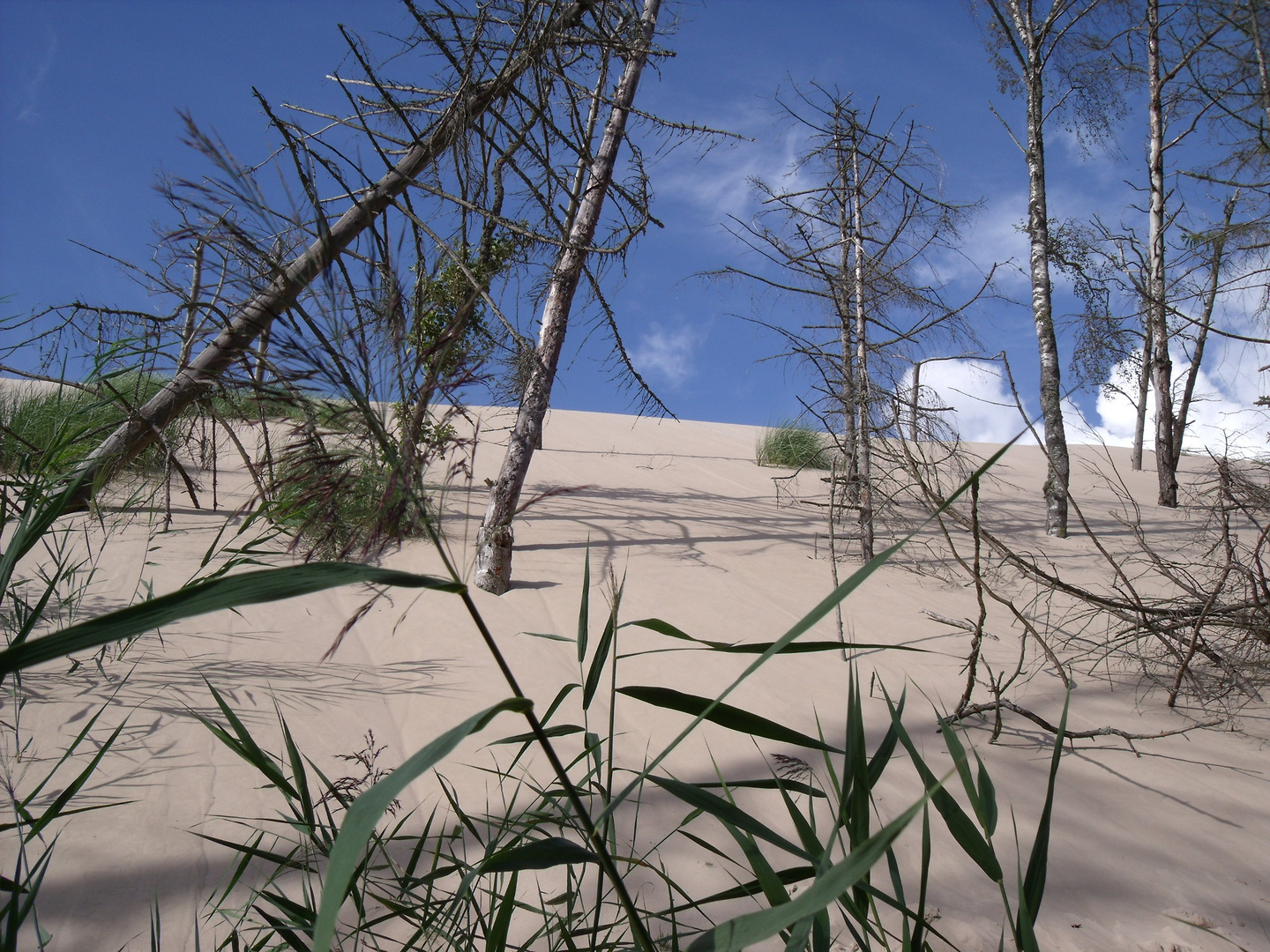 Wanderdüne Leba - Polen