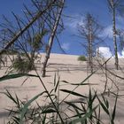 Wanderdüne Leba - Polen