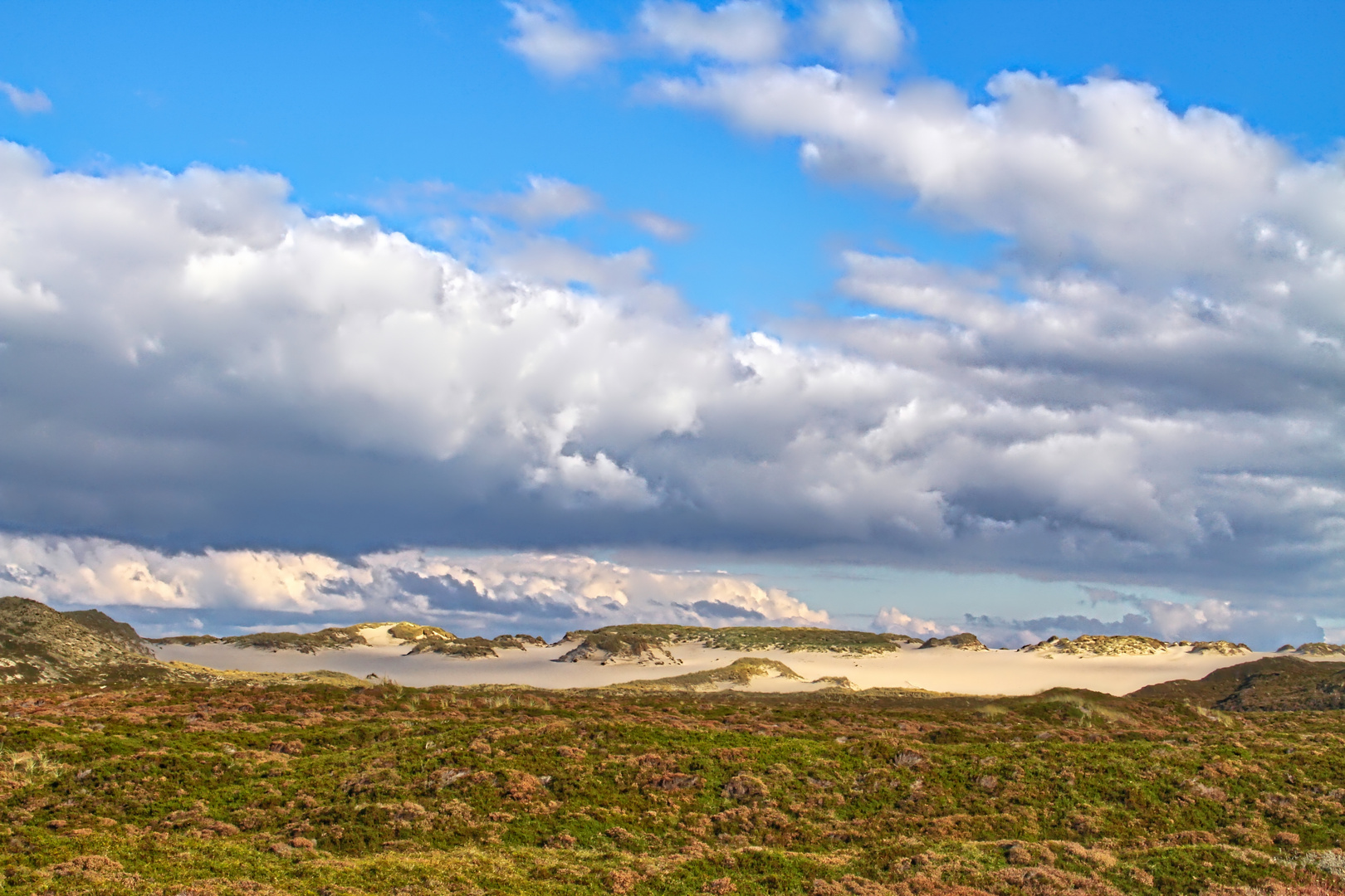 Wanderdüne List im Herbstmodus - moving dune List in autumn mood