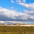 Wanderdüne List im Herbstmodus - moving dune List in autumn mood