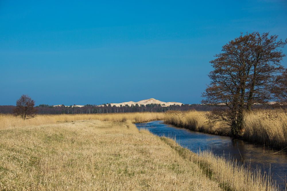 Wanderdüne Polen