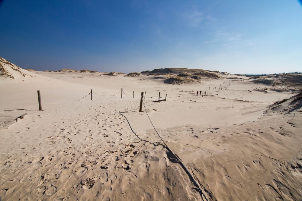 Wanderdüne Polen 2