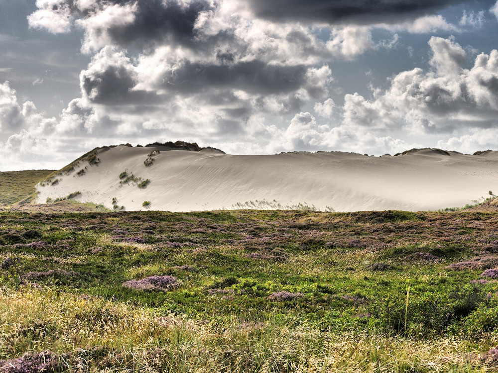 Wanderdüne vor List / Sylt