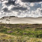 Wanderdüne vor List / Sylt