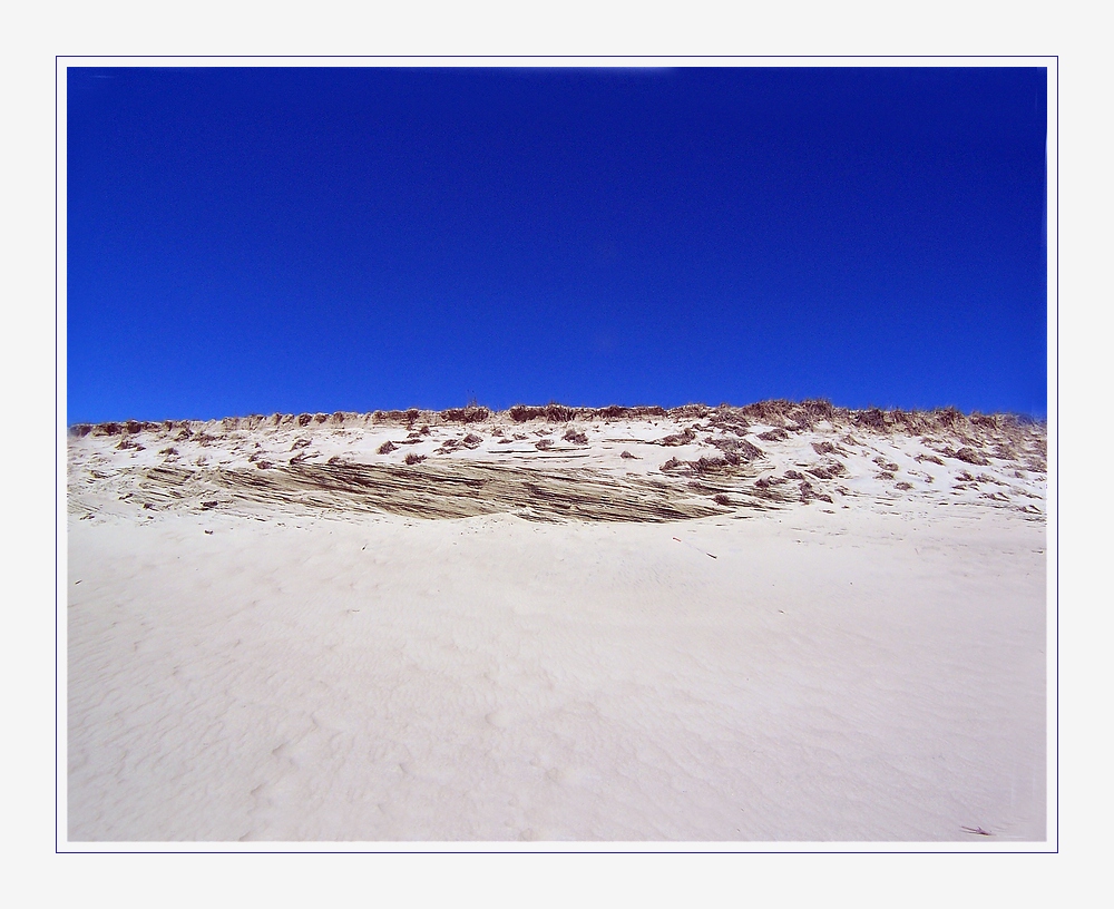 Wanderdünen auf der Kurischen Nehrung