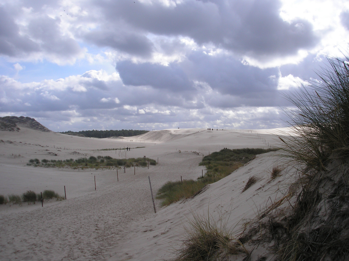 Wanderdünen bei Leba / Westpreussen