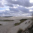 Wanderdünen bei Leba / Westpreussen