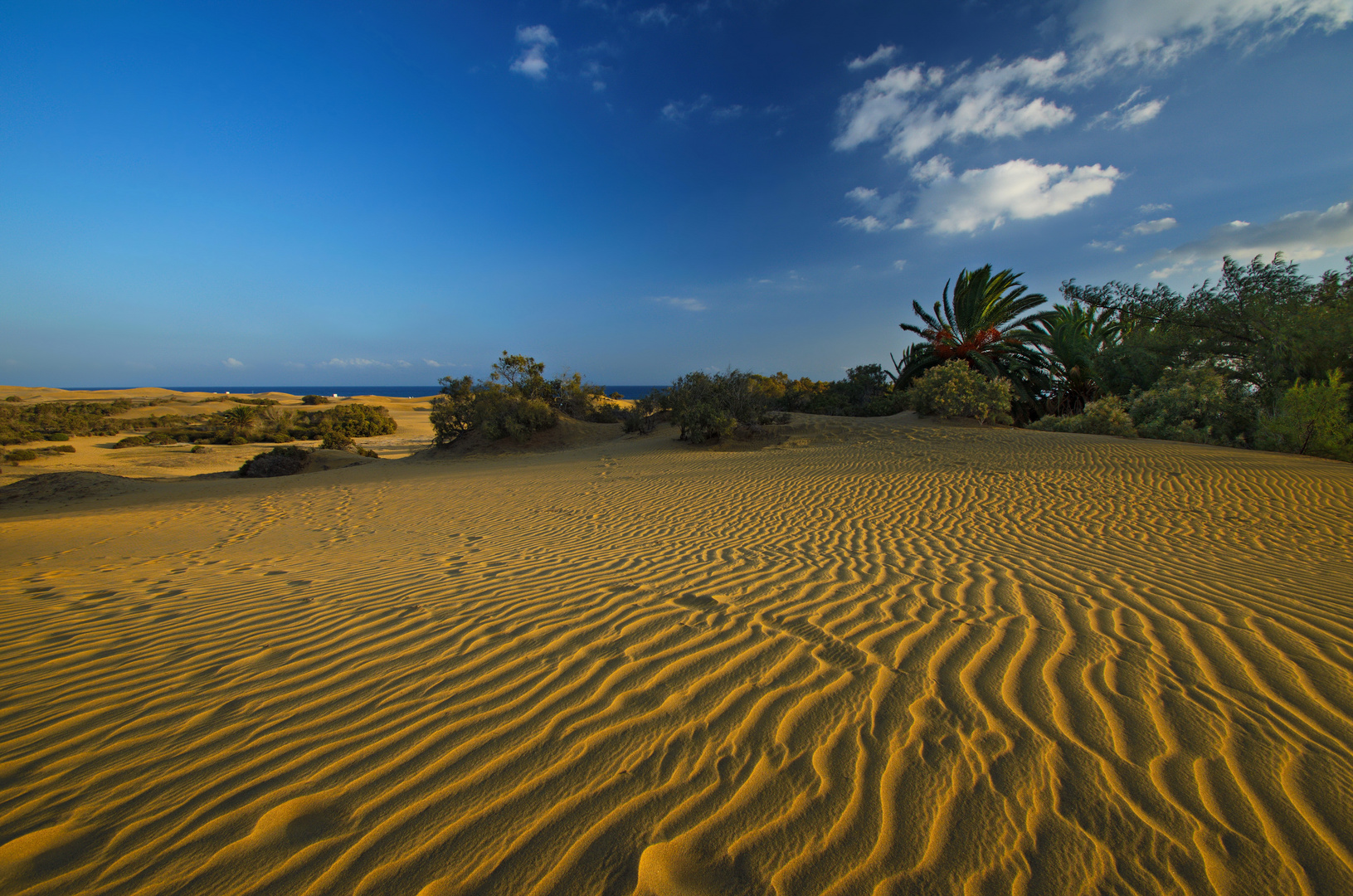 Wanderdünen bei Maspalomas