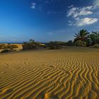 Wanderdünen bei Maspalomas