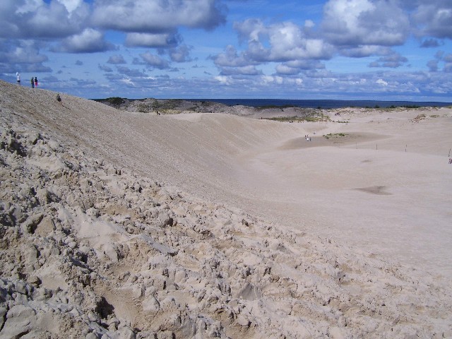 Wanderdünen bei Rabka (PL)