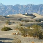 Wanderdünen im Death Valley