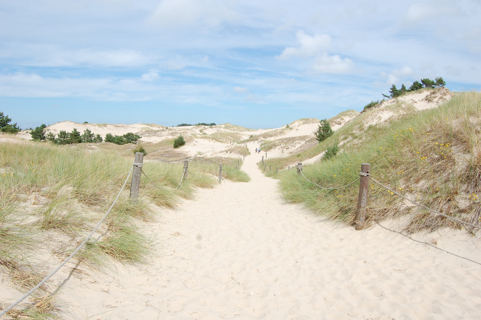 Wanderdünen in Polen 1