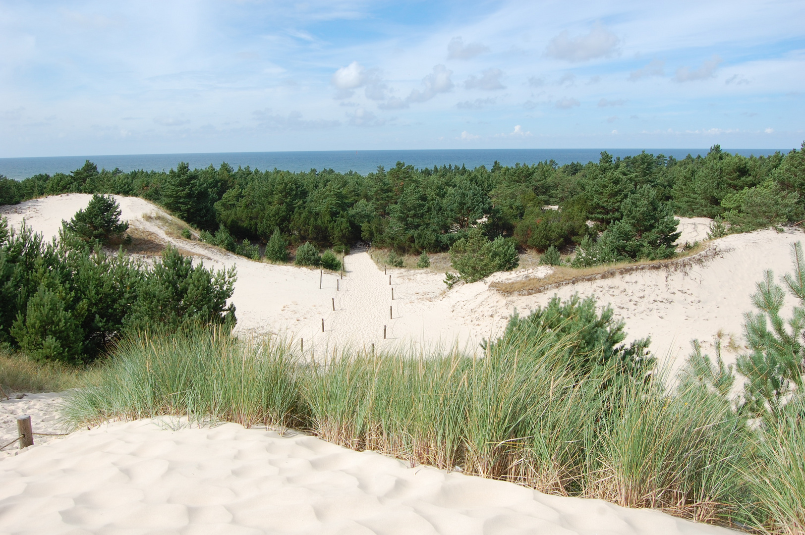 Wanderdünen in Polen 2