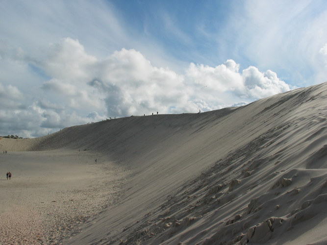 Wanderdünen in Polen 2