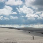 Wanderdünen in Polen