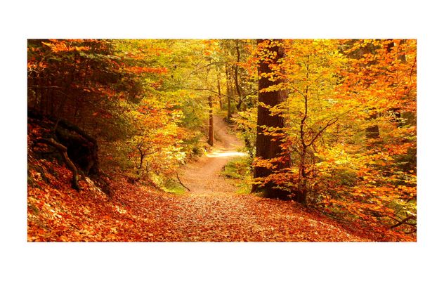 * Wandere durch Raum und Zeit *