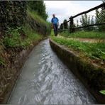 Wanderer am Marlinger Waalweg