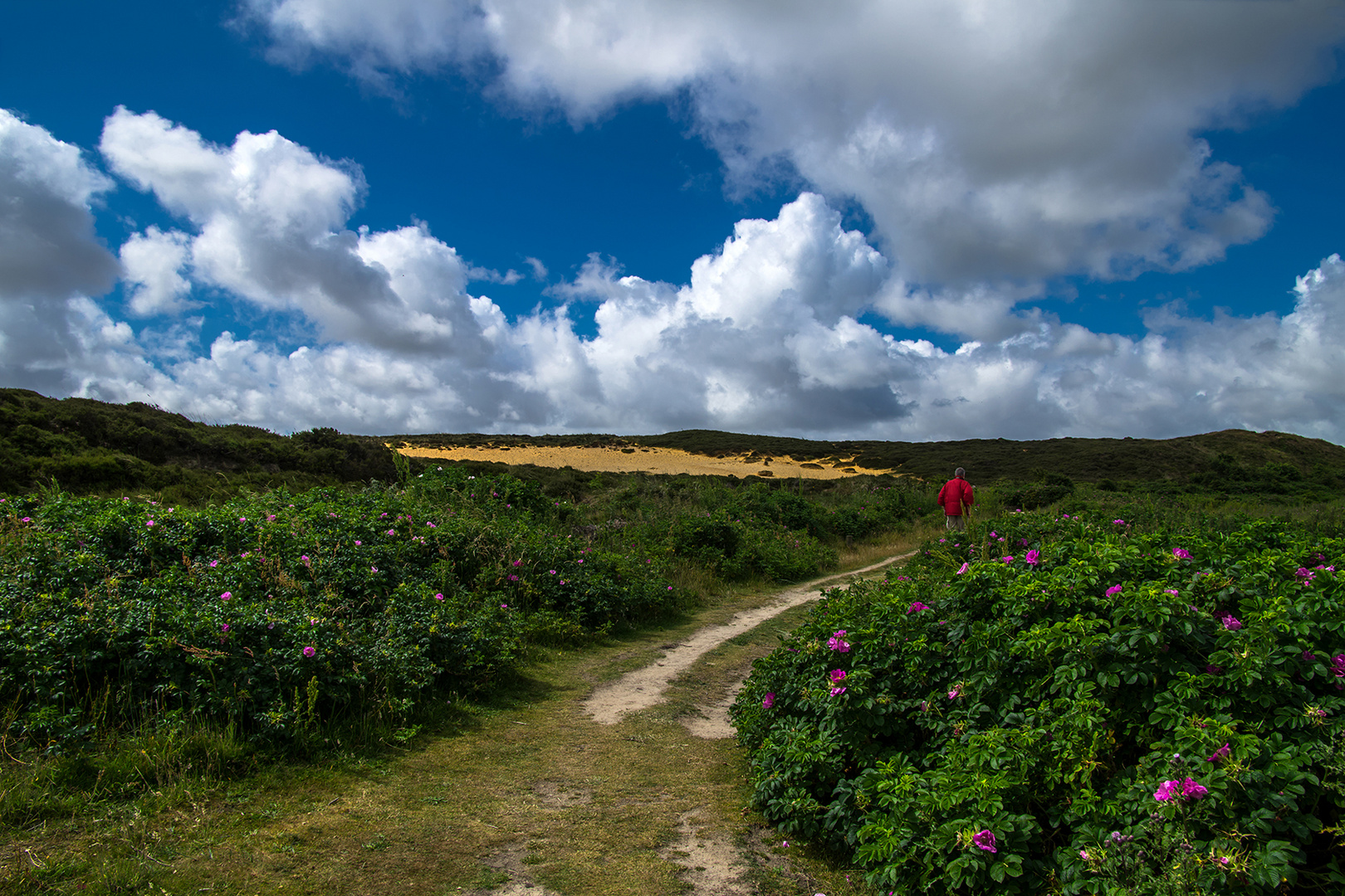 Wanderer am Watt bei Morsum